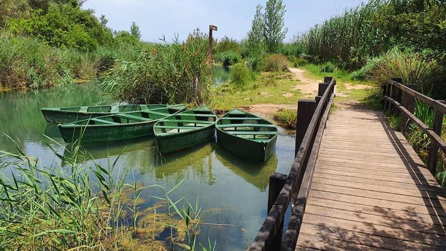 Descubre la Marjal de Pego-Oliva: Un Asombroso Paraíso Natural en la Comunidad Valenciana